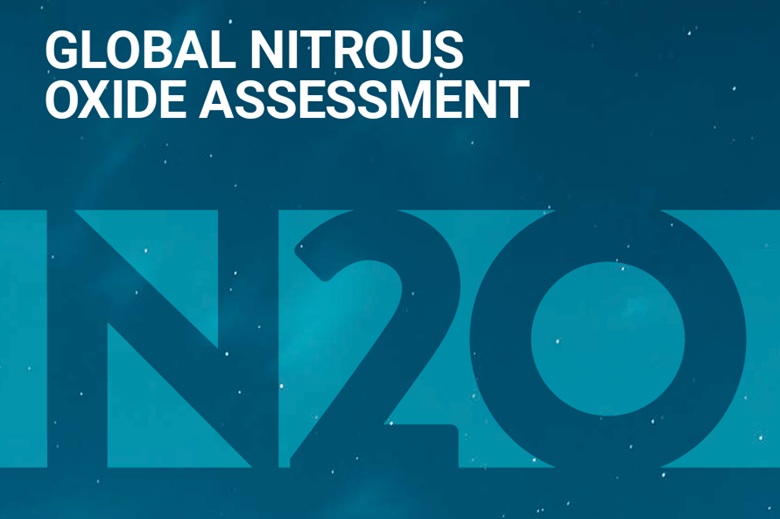 Global N2O