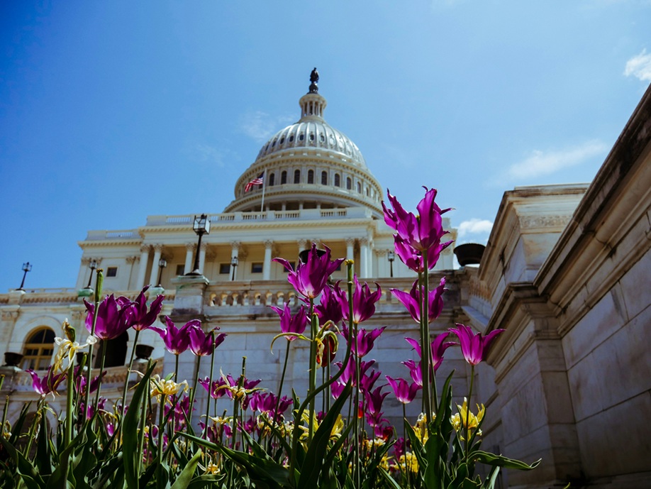 U.S. Capitol Building